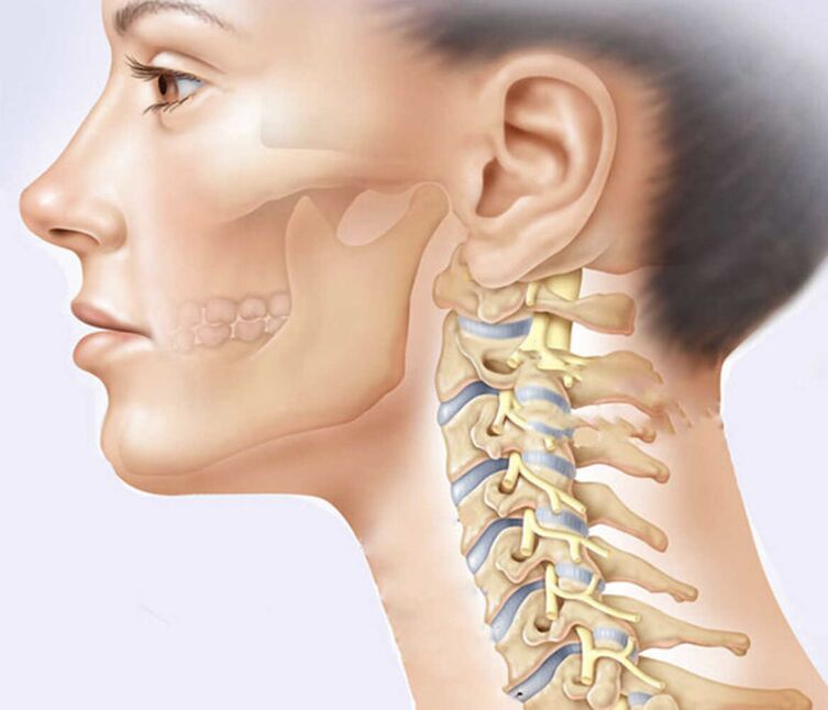 Tulang belakang leher